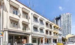 Bukit Pasoh Conservation Area (D2), Shop House #564601161